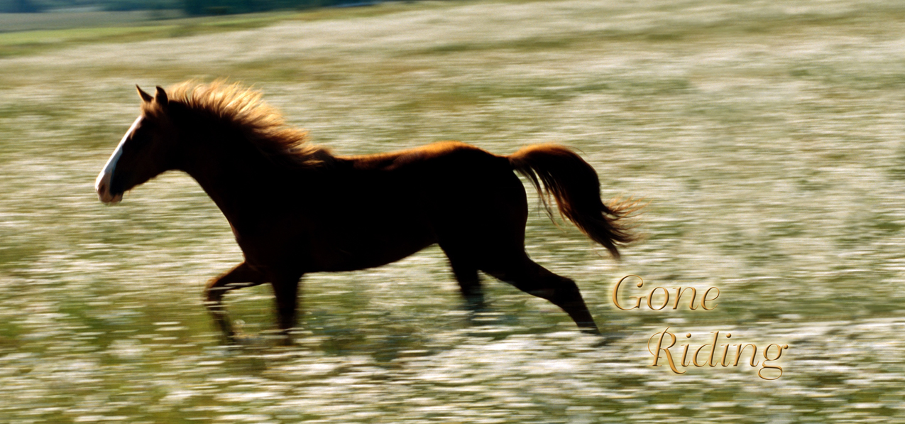 HP-AG-340-T Gone Riding Text